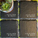 Allies R Hot Set (Slate)