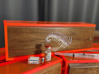 Acrylic, Wood, and Fern HRT Box