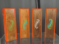 Acrylic, Wood, and Fern HRT Box