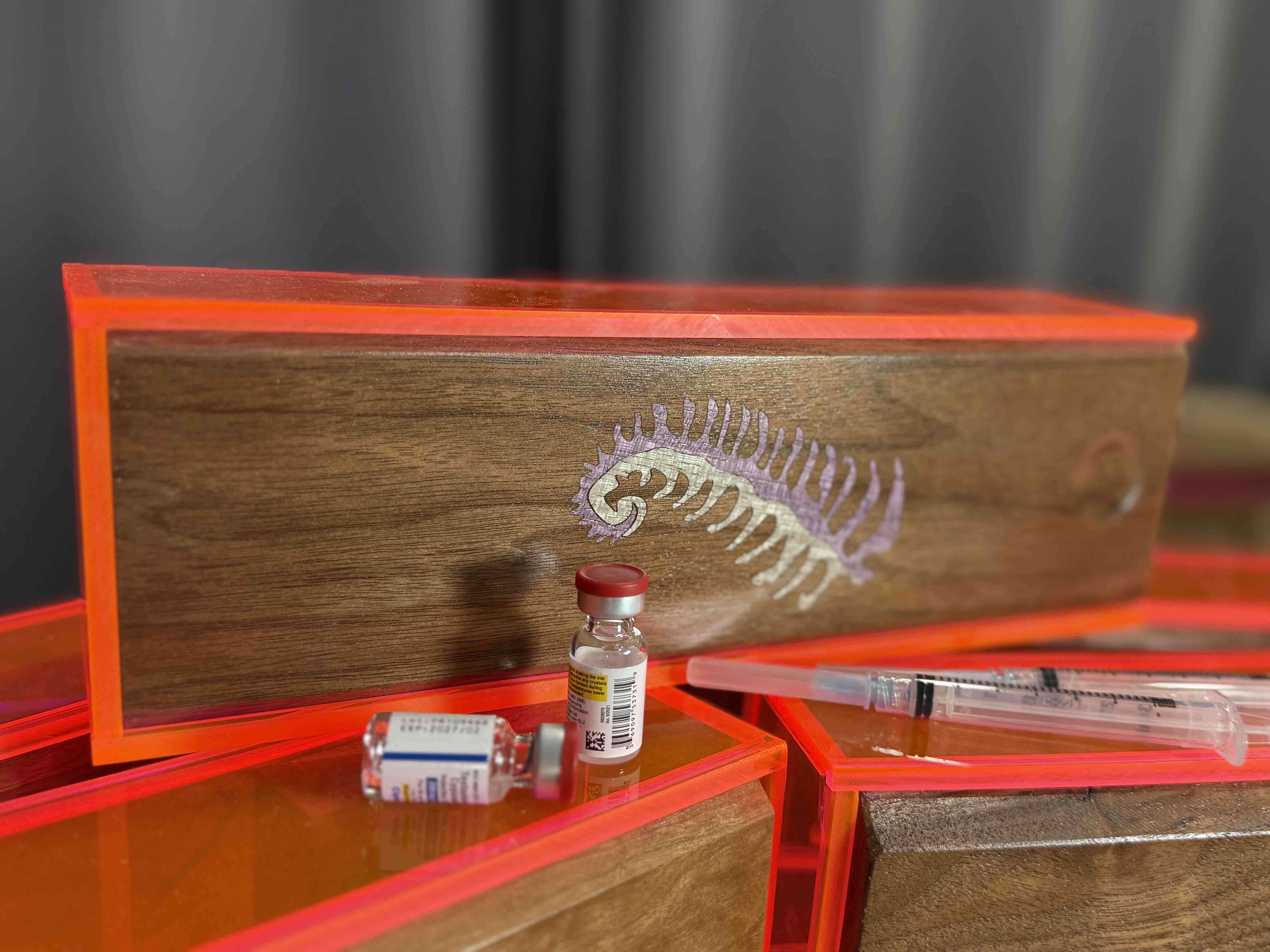 Acrylic, Wood, and Fern HRT Box