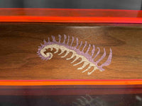 Acrylic, Wood, and Fern HRT Box